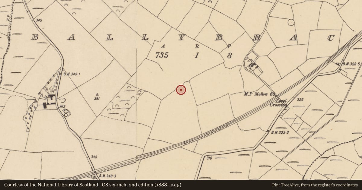 Ordnance Survey six-inch map, 2nd edition (1888–1915) covering the location of Enclosure, Ballybrack, County Waterford, with a pin at the register's coordinates
