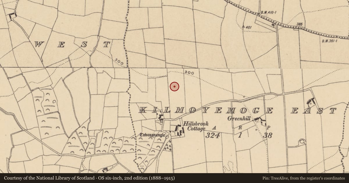 Ordnance Survey six-inch map, 2nd edition (1888–1915) covering the location of Standing stone, Kilmoyemoge East, County Waterford, with a pin at the register's coordinates