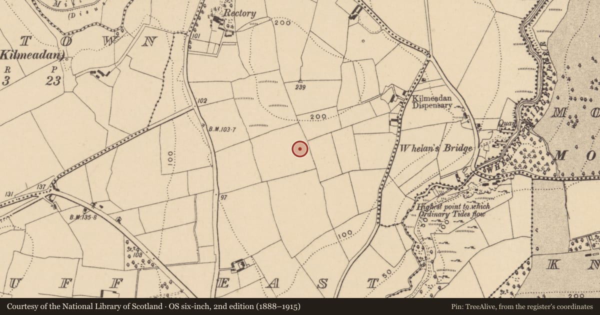Ordnance Survey six-inch map, 2nd edition (1888–1915) covering the location of Excavation - miscellaneous, Ballyduff East, County Waterford, with a pin at the register's coordinates