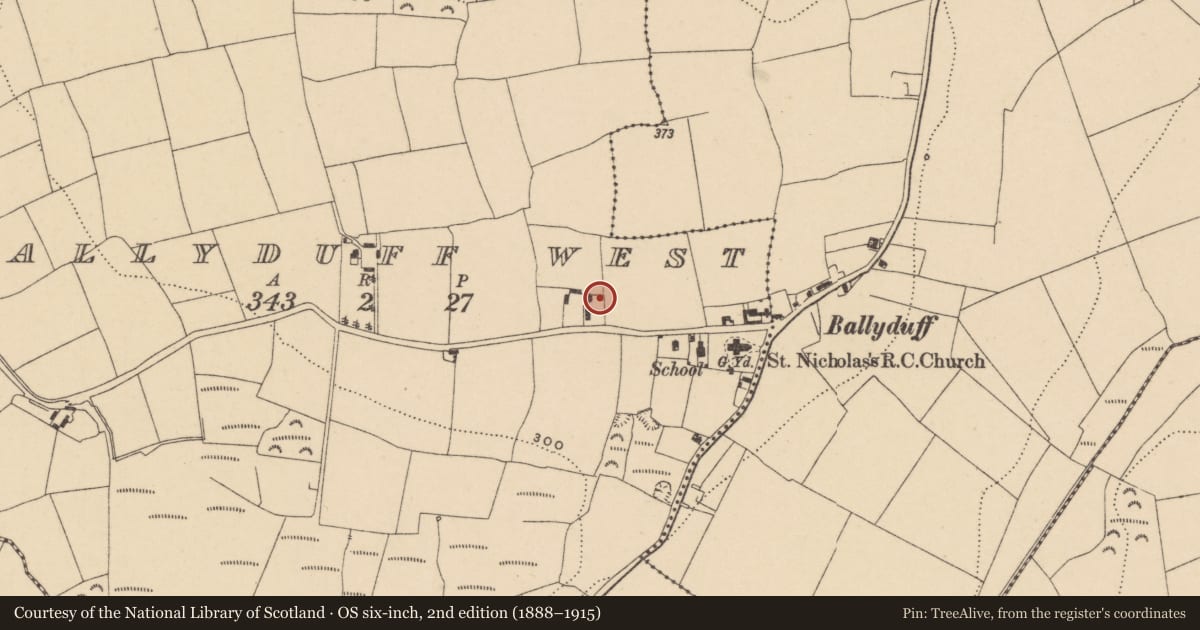 Ordnance Survey six-inch map, 2nd edition (1888–1915) covering the location of Bullaun stone (present location), Ballyea West, County Waterford, with a pin at the register's coordinates