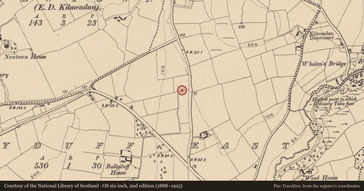 Ordnance Survey six-inch map, 2nd edition (1888–1915) covering the location of Fulacht fia, Ballyduff East, County Waterford, with a pin at the register's coordinates