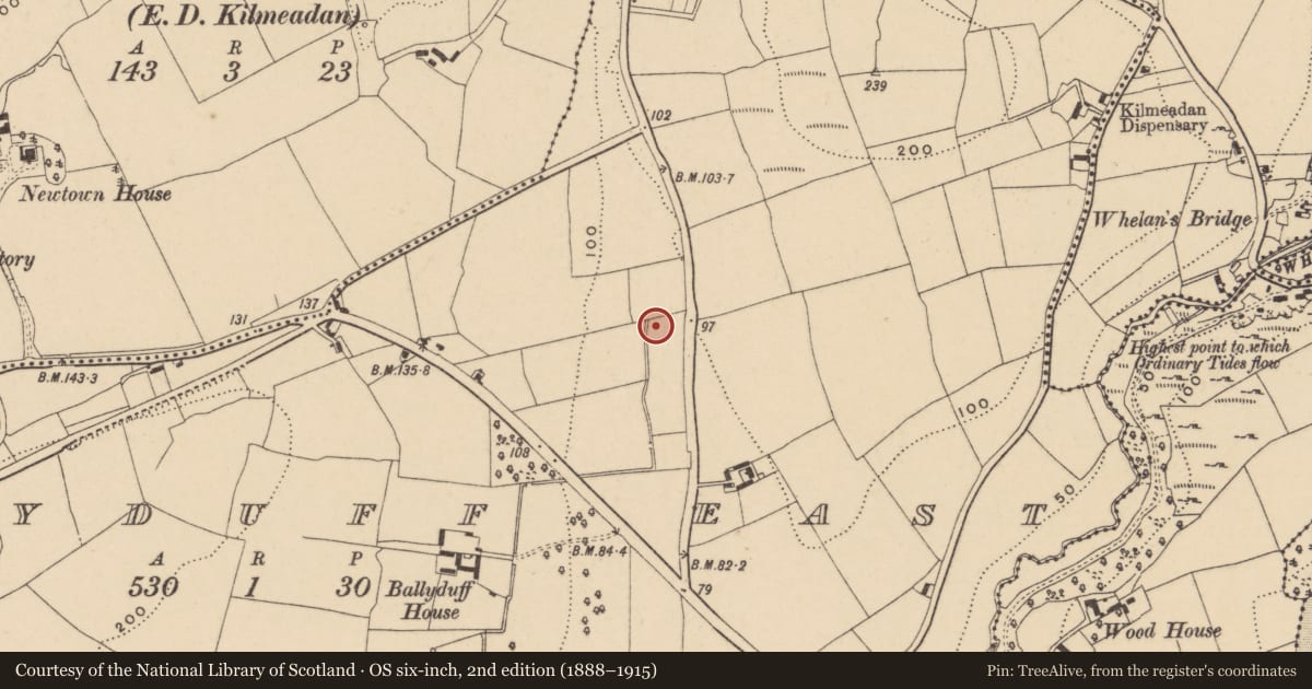 Ordnance Survey six-inch map, 2nd edition (1888–1915) covering the location of Fulacht fia, Ballyduff East, County Waterford, with a pin at the register's coordinates