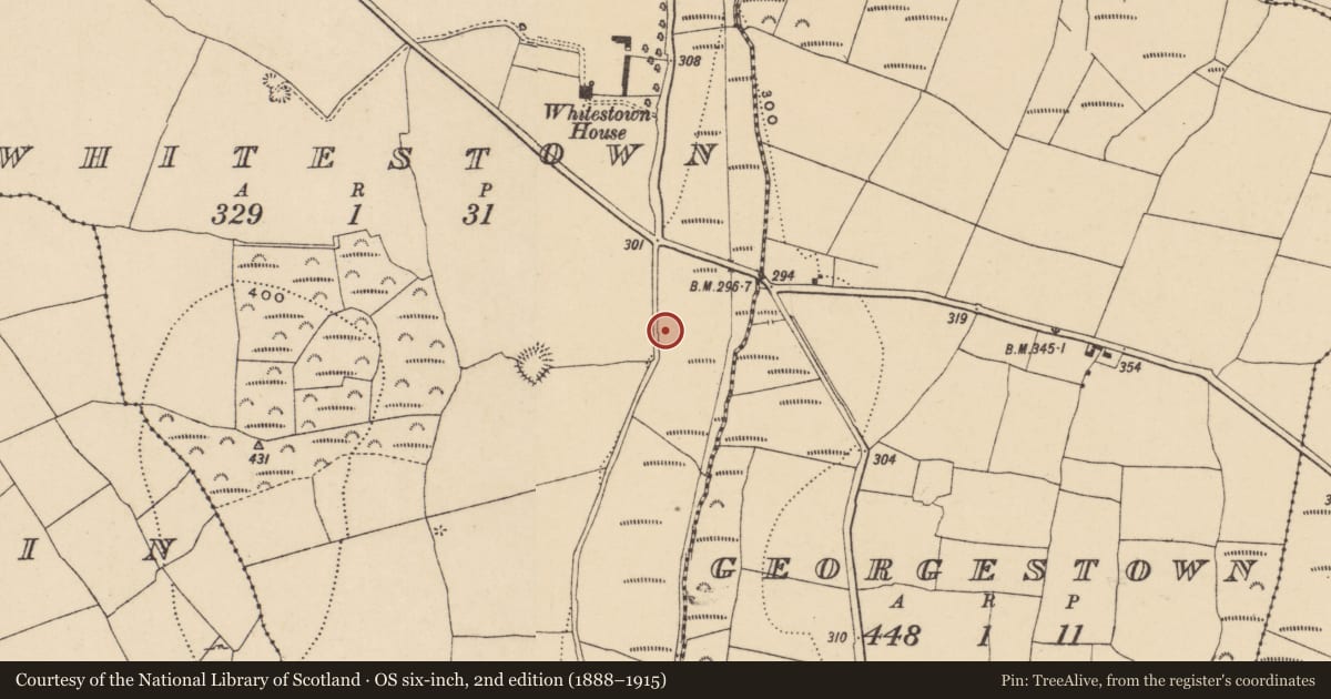 Ordnance Survey six-inch map, 2nd edition (1888–1915) covering the location of Burnt mound, Whitestown, County Waterford, with a pin at the register's coordinates