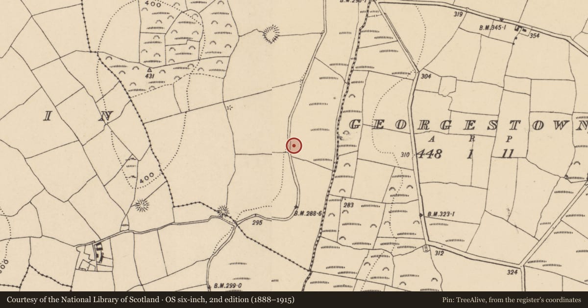 Ordnance Survey six-inch map, 2nd edition (1888–1915) covering the location of Burnt mound, Whitestown, County Waterford, with a pin at the register's coordinates