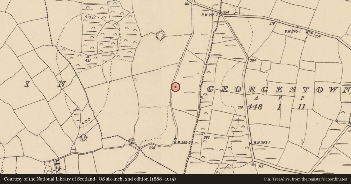 Ordnance Survey six-inch map, 2nd edition (1888–1915) covering the location of Burnt mound, Whitestown, County Waterford, with a pin at the register's coordinates
