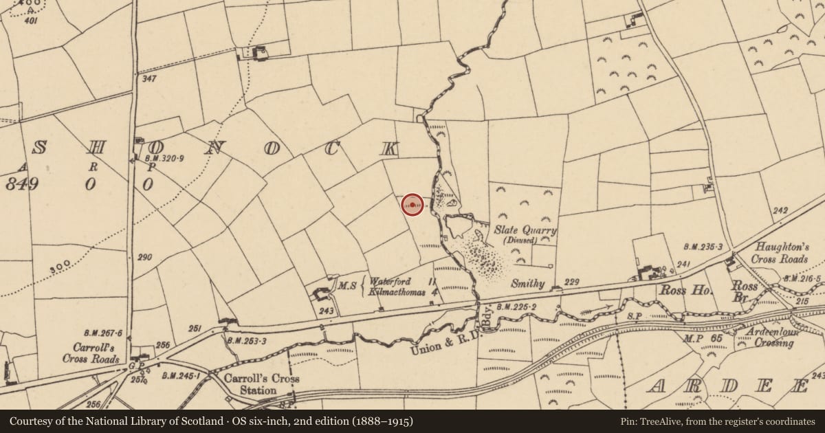 Ordnance Survey six-inch map, 2nd edition (1888–1915) covering the location of Burnt mound, Ballyshonock, County Waterford, with a pin at the register's coordinates