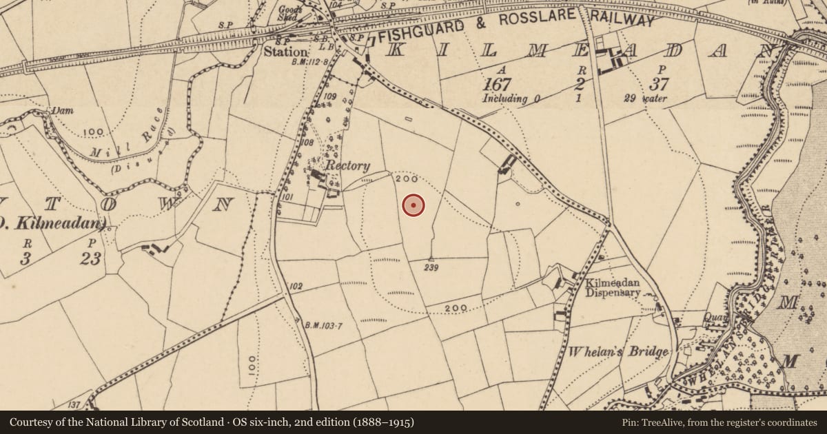 Ordnance Survey six-inch map, 2nd edition (1888–1915) covering the location of Standing stone, Ballyduff East, County Waterford, with a pin at the register's coordinates