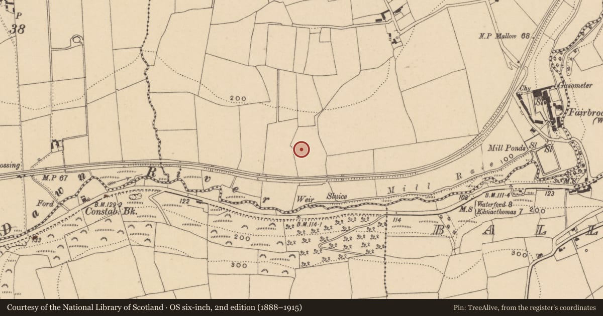 Ordnance Survey six-inch map, 2nd edition (1888–1915) covering the location of Enclosure, Cullenagh, County Waterford, with a pin at the register's coordinates