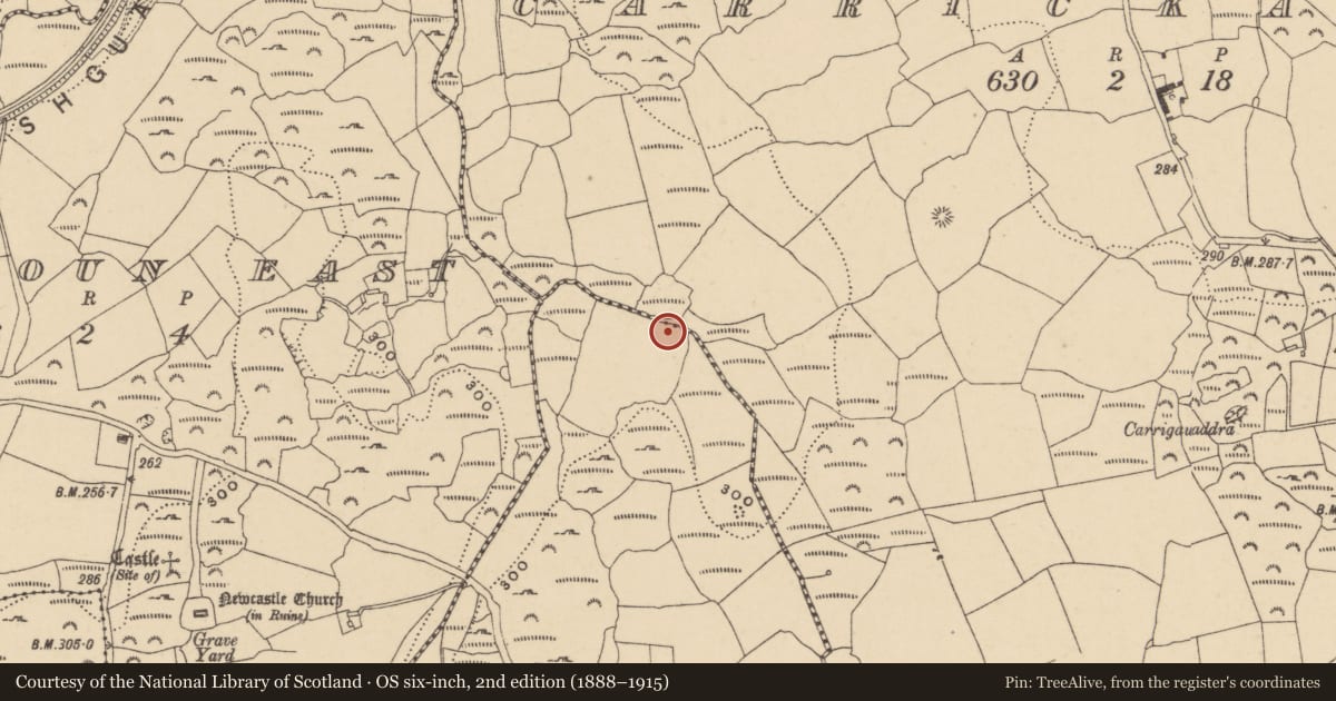 Ordnance Survey six-inch map, 2nd edition (1888–1915) covering the location of Enclosure, Ballygarran (Middlethird By., Newcastle Par.), County Waterford, with a pin at the register's coordinates
