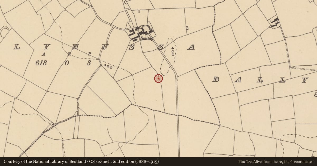 Ordnance Survey six-inch map, 2nd edition (1888–1915) covering the location of Enclosure, Ballyhussa, County Waterford, with a pin at the register's coordinates