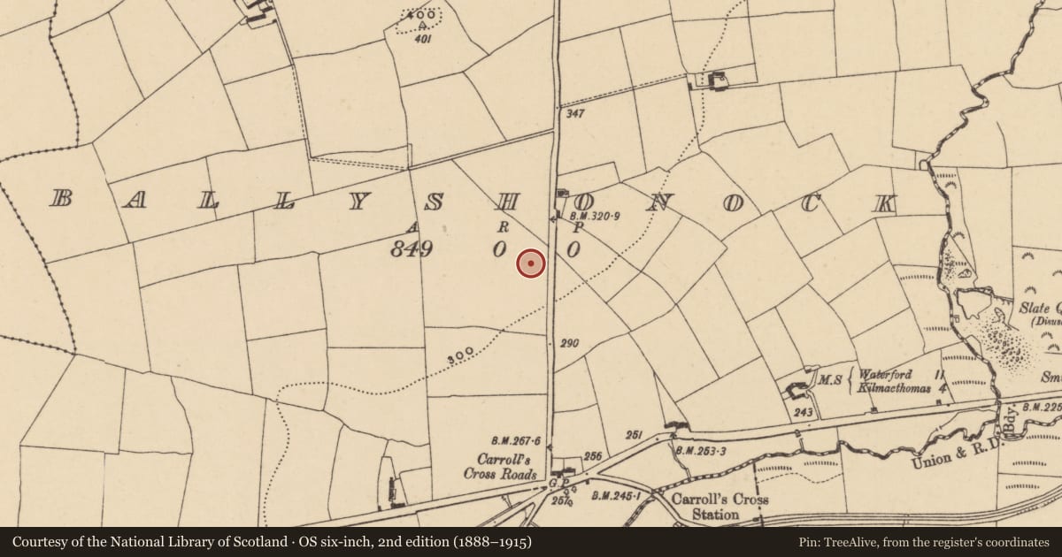 Ordnance Survey six-inch map, 2nd edition (1888–1915) covering the location of Enclosure, Ballyshonock, County Waterford, with a pin at the register's coordinates