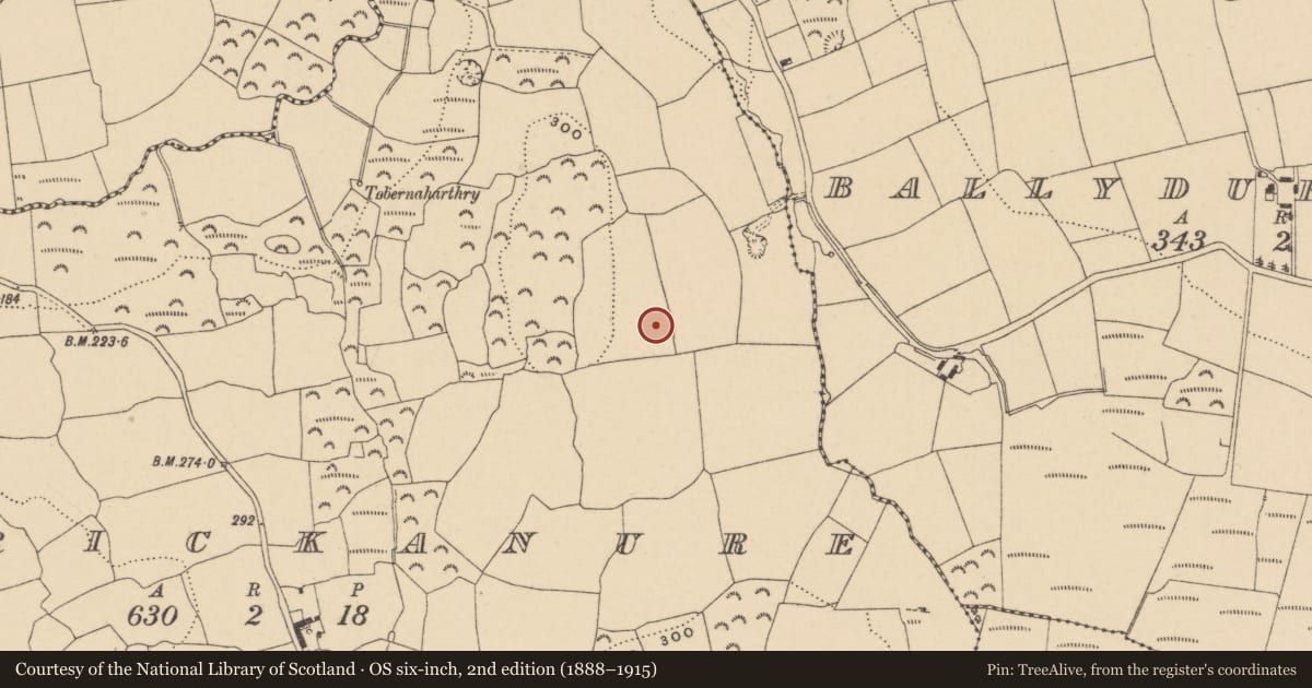 Ordnance Survey six-inch map, 2nd edition (1888–1915) covering the location of Enclosure, Carrickanure, County Waterford, with a pin at the register's coordinates