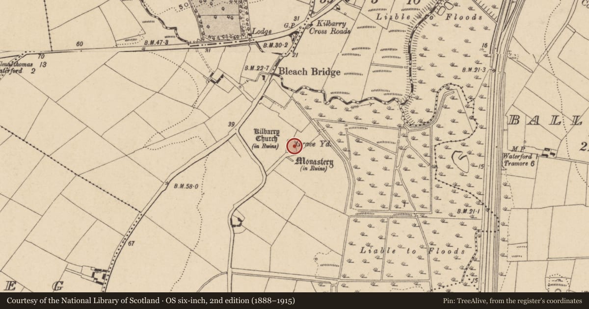 Ordnance Survey six-inch map, 2nd edition (1888–1915) covering the location of Graveslab, Kilbarry, County Waterford, with a pin at the register's coordinates