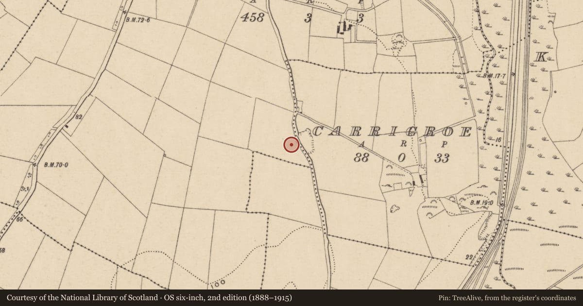 Ordnance Survey six-inch map, 2nd edition (1888–1915) covering the location of Burnt mound, Kilbarry, County Waterford, with a pin at the register's coordinates
