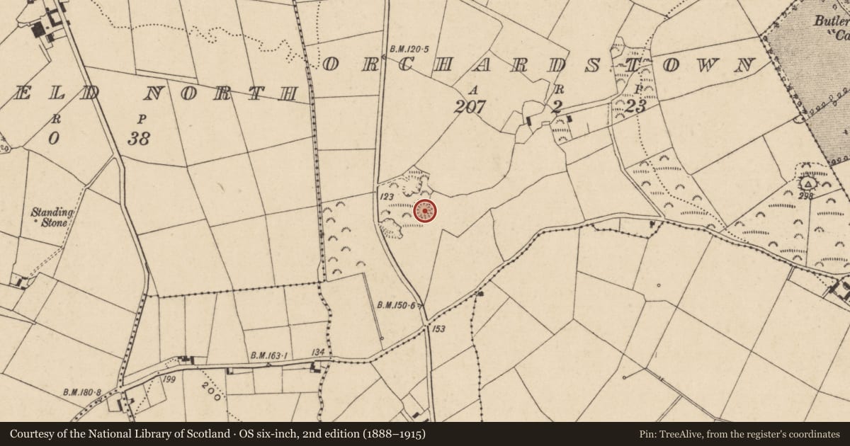 Ordnance Survey six-inch map, 2nd edition (1888–1915) covering the location of Ringfort - unclassified, Orchardstown, County Waterford, with a pin at the register's coordinates
