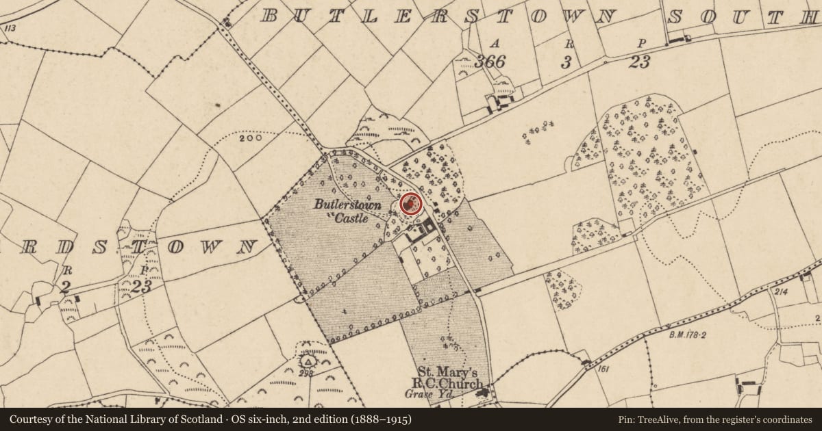 Ordnance Survey six-inch map, 2nd edition (1888–1915) covering the location of Castle - tower house, Butlerstown South, County Waterford, with a pin at the register's coordinates