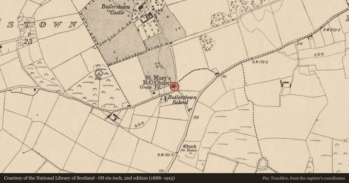 Ordnance Survey six-inch map, 2nd edition (1888–1915) covering the location of Architectural feature, Butlerstown South, County Waterford, with a pin at the register's coordinates