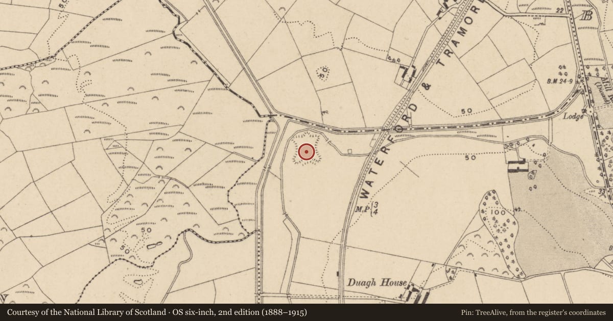 Ordnance Survey six-inch map, 2nd edition (1888–1915) covering the location of Bastioned fort, Duagh, County Waterford, with a pin at the register's coordinates