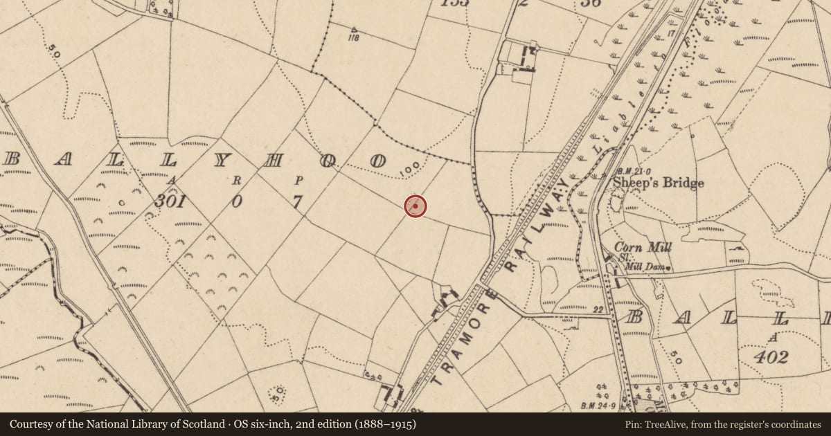 Ordnance Survey six-inch map, 2nd edition (1888–1915) covering the location of Ringfort - unclassified, Ballyhoo, County Waterford, with a pin at the register's coordinates