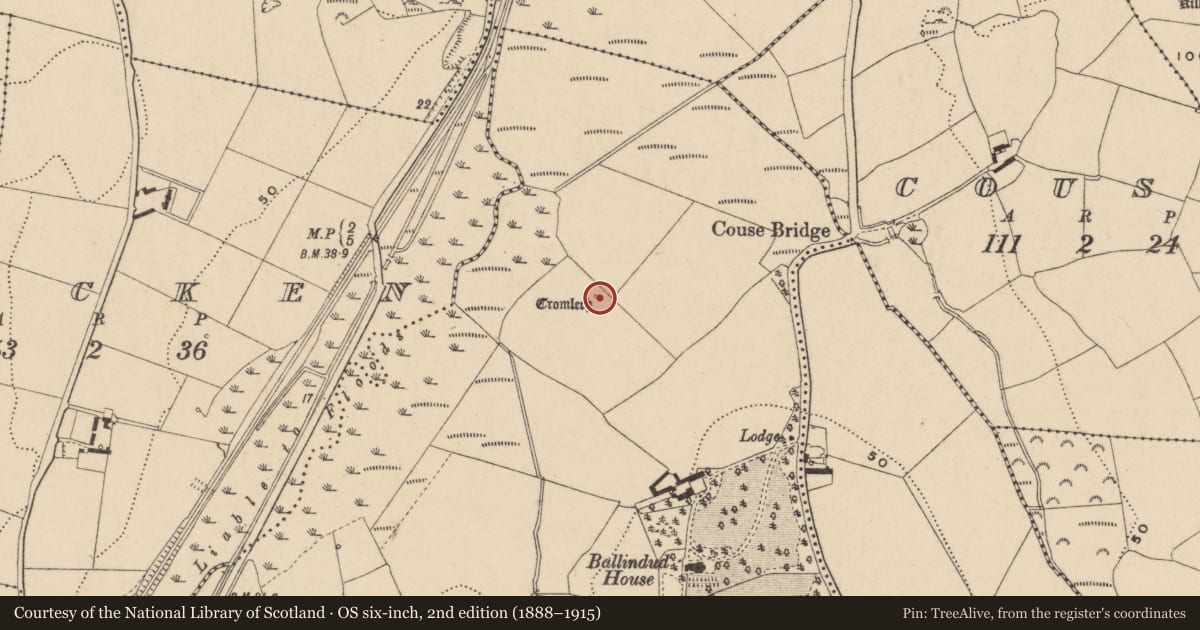 Ordnance Survey six-inch map, 2nd edition (1888–1915) covering the location of Megalithic tomb - portal tomb, Ballindud, County Waterford, with a pin at the register's coordinates