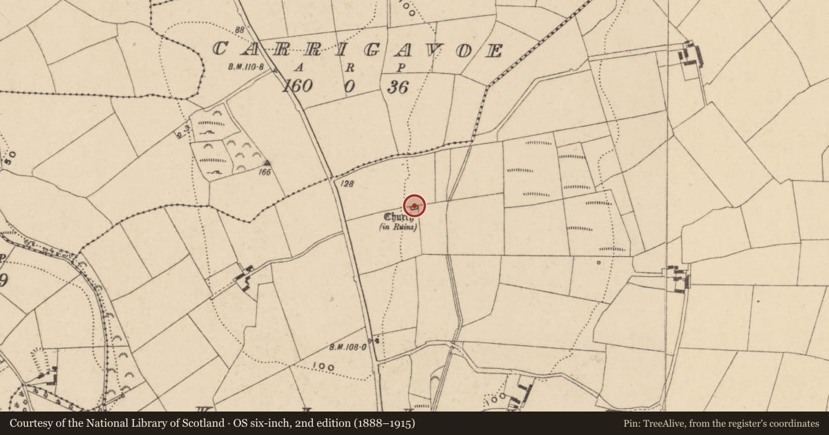 Ordnance Survey six-inch map, 2nd edition (1888–1915) covering the location of Church, Killure, County Waterford, with a pin at the register's coordinates