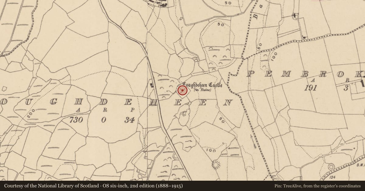 Ordnance Survey six-inch map, 2nd edition (1888–1915) covering the location of Bawn, Loughdeheen, County Waterford, with a pin at the register's coordinates