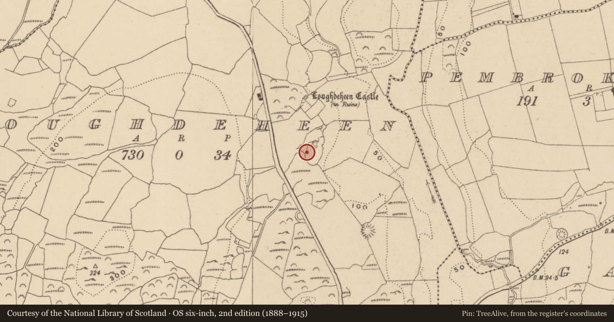 Ordnance Survey six-inch map, 2nd edition (1888–1915) covering the location of Enclosure, Loughdeheen, County Waterford, with a pin at the register's coordinates