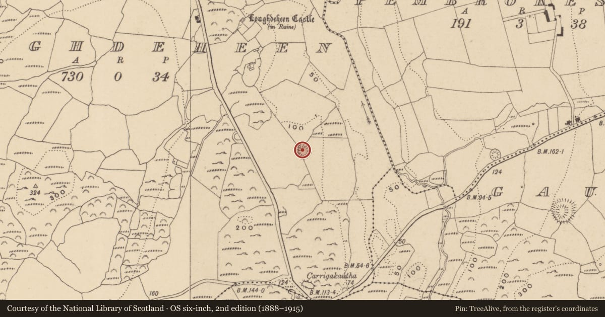 Ordnance Survey six-inch map, 2nd edition (1888–1915) covering the location of Ringfort - rath, Loughdeheen, County Waterford, with a pin at the register's coordinates