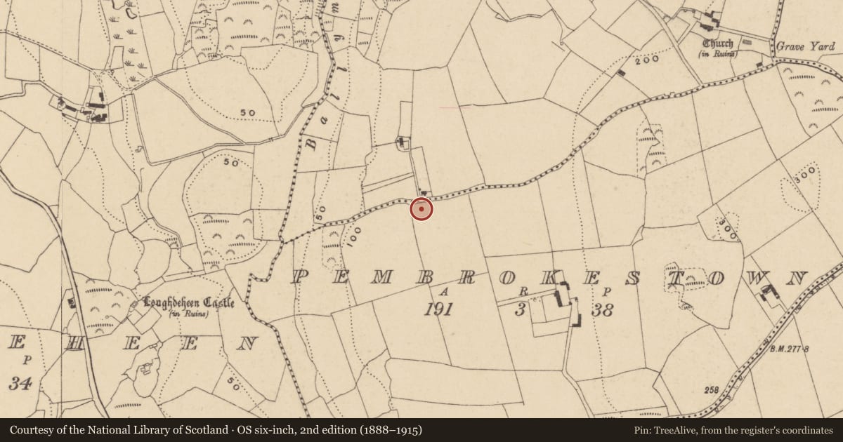 Ordnance Survey six-inch map, 2nd edition (1888–1915) covering the location of Enclosure, Pembrokestown, County Waterford, with a pin at the register's coordinates