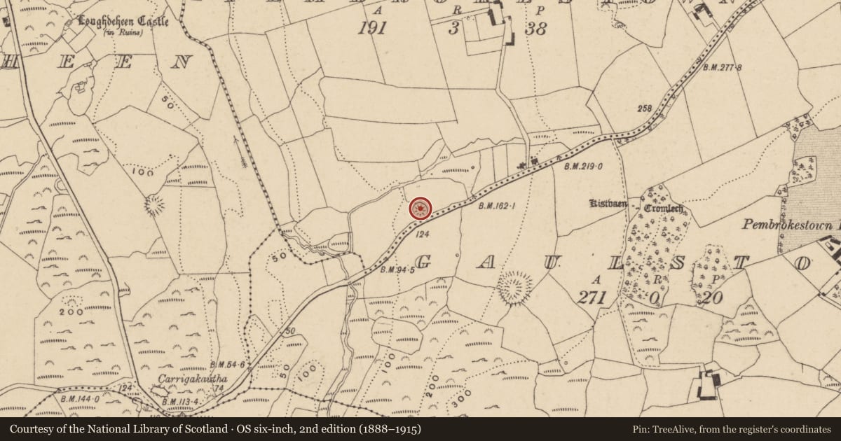Ordnance Survey six-inch map, 2nd edition (1888–1915) covering the location of Castle - motte, Pembrokestown, County Waterford, with a pin at the register's coordinates