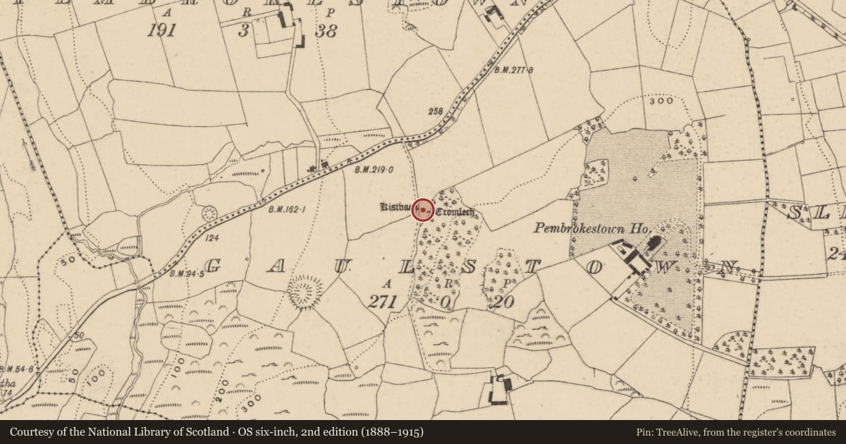 Ordnance Survey six-inch map, 2nd edition (1888–1915) covering the location of Cist, Gaulstown, County Waterford, with a pin at the register's coordinates