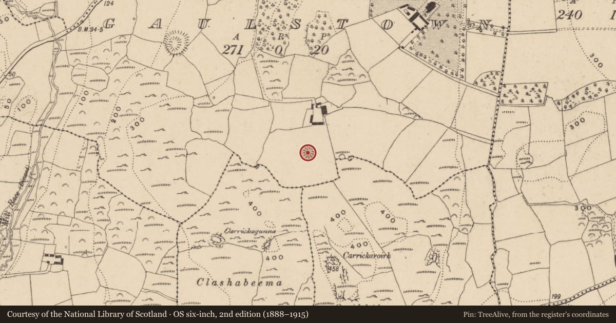 Ordnance Survey six-inch map, 2nd edition (1888–1915) covering the location of Ringfort - rath, Gaulstown, County Waterford, with a pin at the register's coordinates