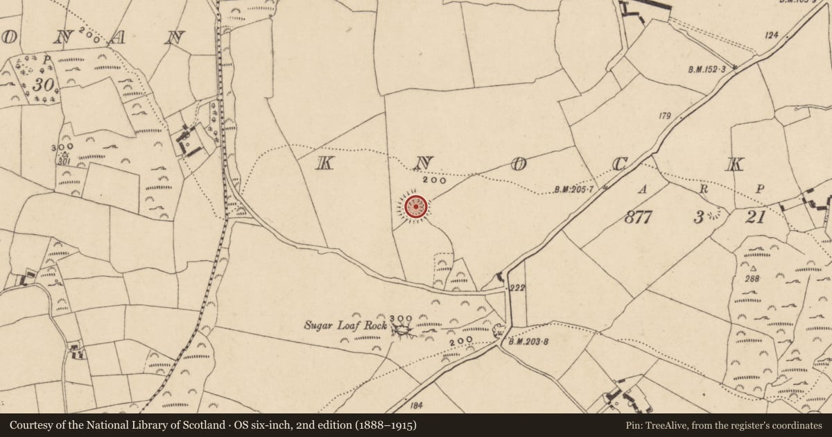 Ordnance Survey six-inch map, 2nd edition (1888–1915) covering the location of Ringfort - rath, Knockeen, County Waterford, with a pin at the register's coordinates