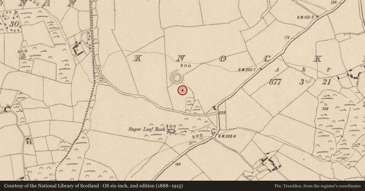 Ordnance Survey six-inch map, 2nd edition (1888–1915) covering the location of Field system, Knockeen, County Waterford, with a pin at the register's coordinates