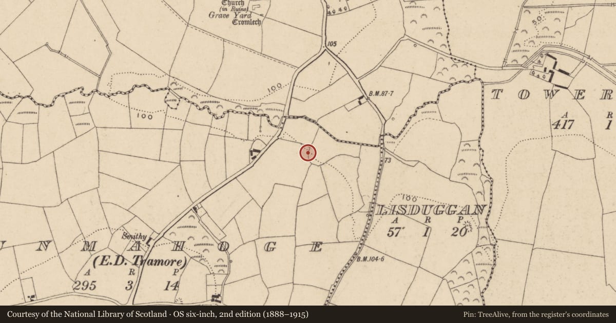 Ordnance Survey six-inch map, 2nd edition (1888–1915) covering the location of Megalithic tomb - wedge tomb, Munmahoge (Middlethird By., Kilburne Par.), County Waterford, with a pin at the register's coordinates