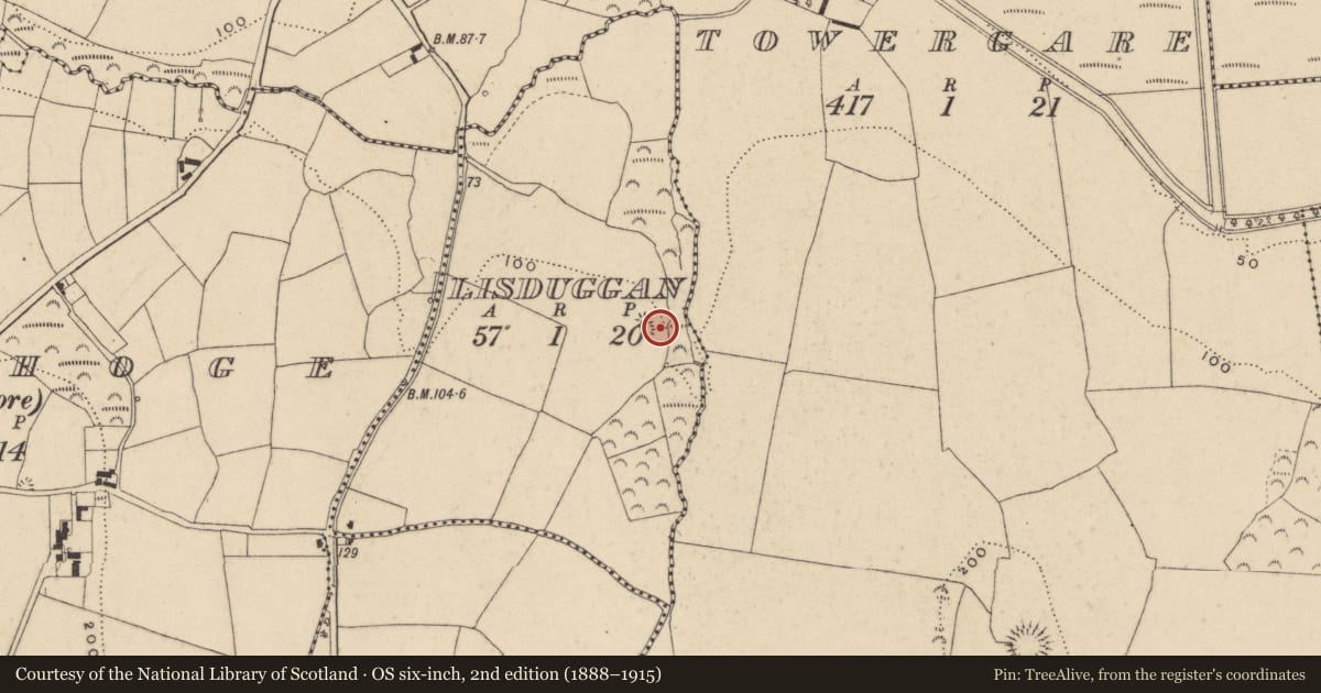 Ordnance Survey six-inch map, 2nd edition (1888–1915) covering the location of Ringfort - unclassified, Lisduggan, County Waterford, with a pin at the register's coordinates