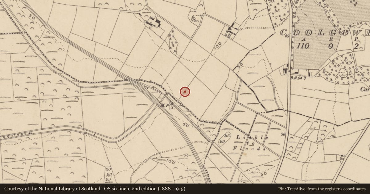 Ordnance Survey six-inch map, 2nd edition (1888–1915) covering the location of Ringfort - unclassified, Duagh, County Waterford, with a pin at the register's coordinates
