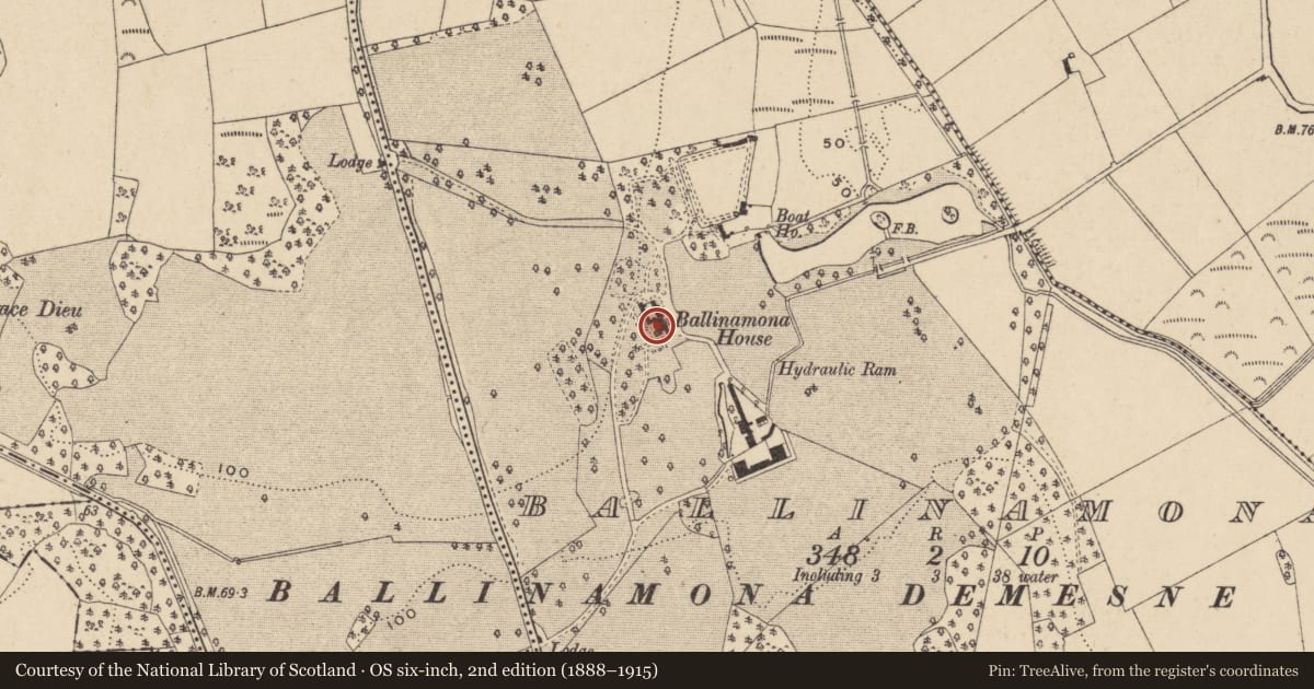 Ordnance Survey six-inch map, 2nd edition (1888–1915) covering the location of Castle - unclassified, Ballinamona, County Waterford, with a pin at the register's coordinates