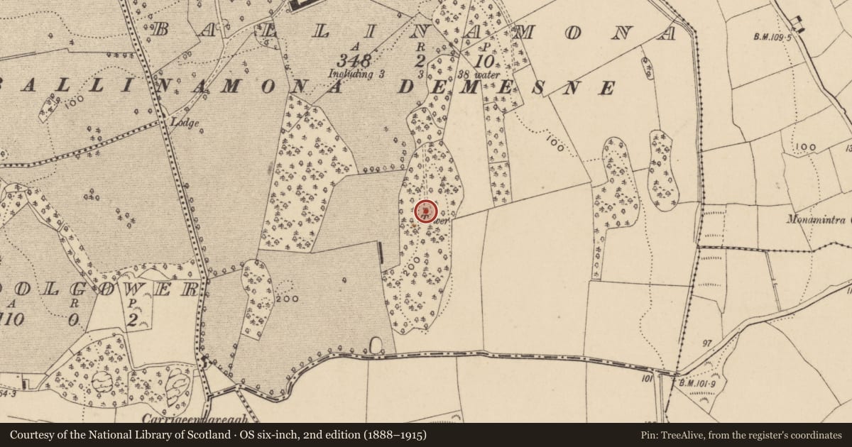 Ordnance Survey six-inch map, 2nd edition (1888–1915) covering the location of Structure, Ballinamona, County Waterford, with a pin at the register's coordinates