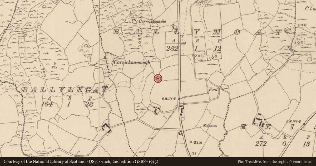 Ordnance Survey six-inch map, 2nd edition (1888–1915) covering the location of Ringfort - rath, Ballymoat, County Waterford, with a pin at the register's coordinates
