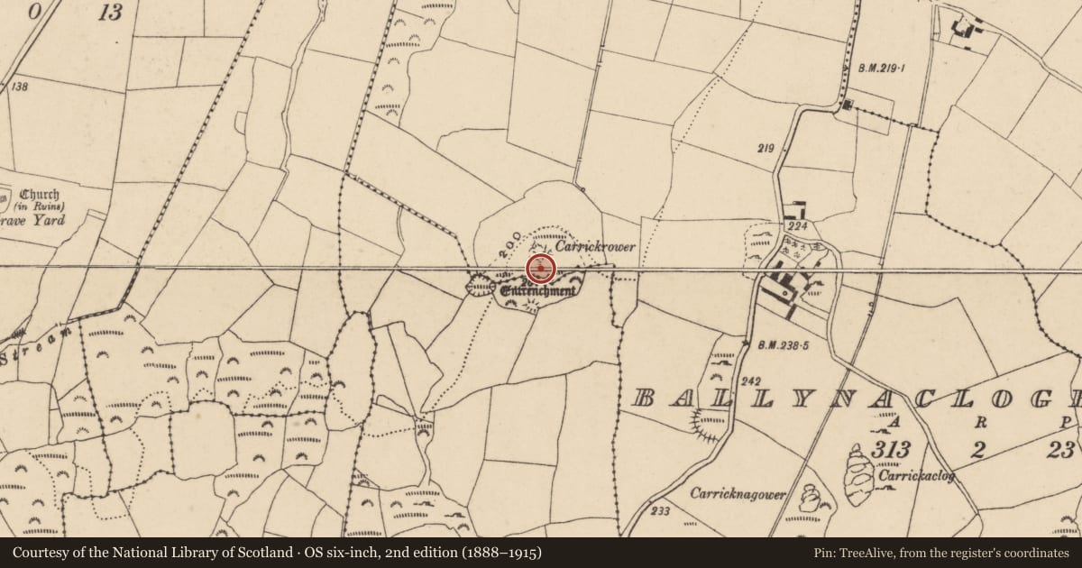 Ordnance Survey six-inch map, 2nd edition (1888–1915) covering the location of Enclosure, Ballynaclogh South, Carrickavarahane, County Waterford, with a pin at the register's coordinates