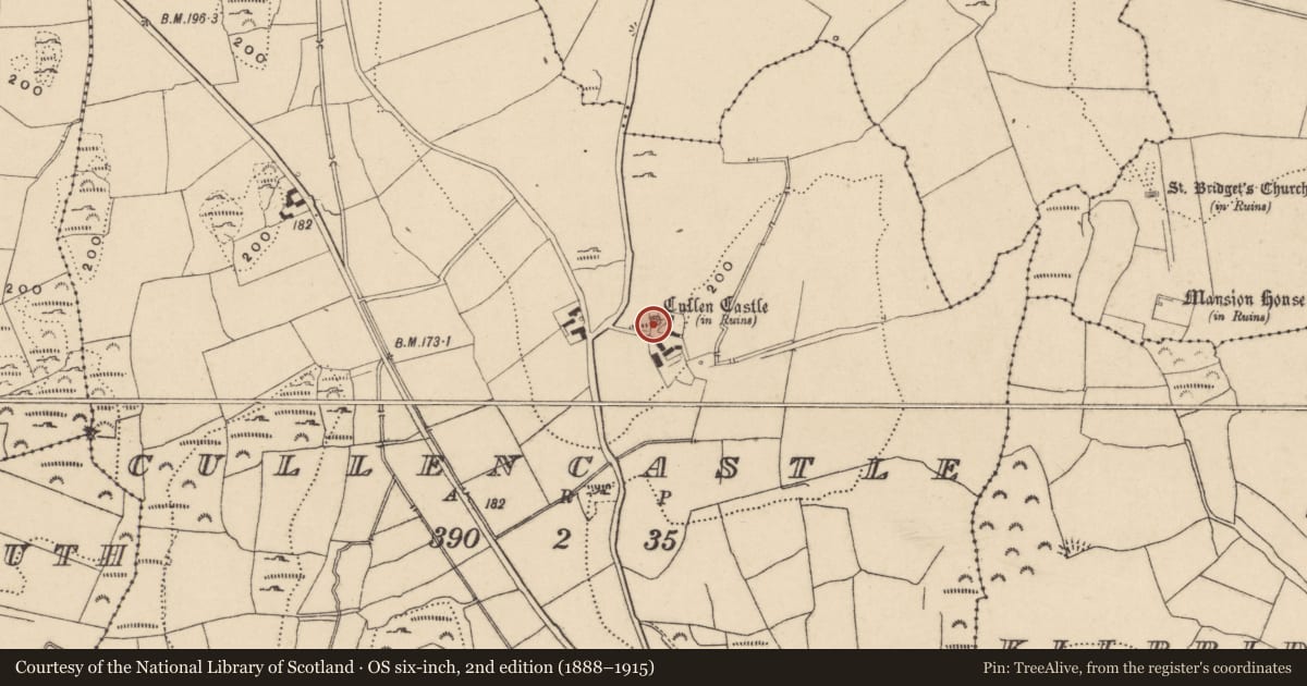 Ordnance Survey six-inch map, 2nd edition (1888–1915) covering the location of Castle - tower house, Cullencastle, County Waterford, with a pin at the register's coordinates