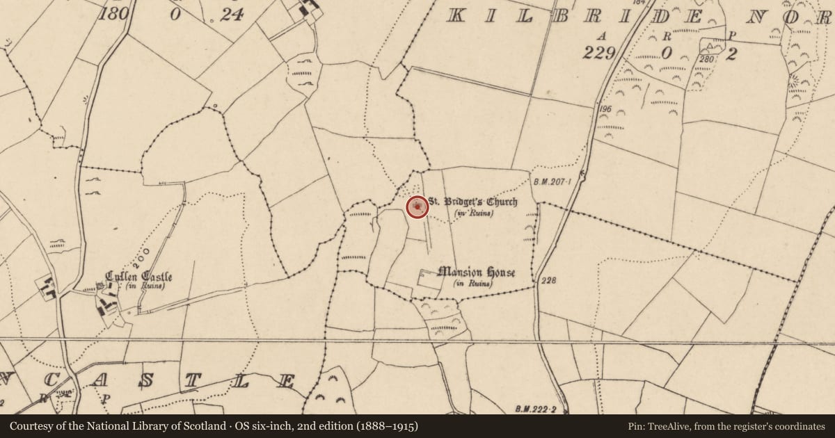 Ordnance Survey six-inch map, 2nd edition (1888–1915) covering the location of Church, Kilbride North, County Waterford, with a pin at the register's coordinates