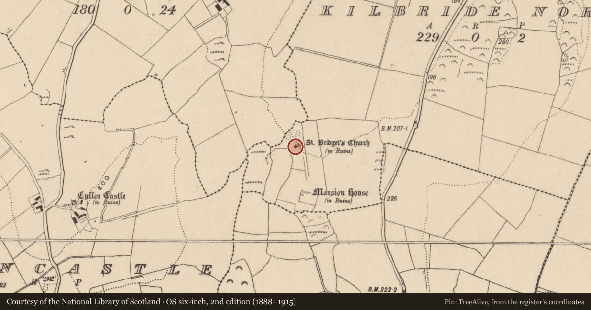 Ordnance Survey six-inch map, 2nd edition (1888–1915) covering the location of Ecclesiastical enclosure, Kilbride North, County Waterford, with a pin at the register's coordinates