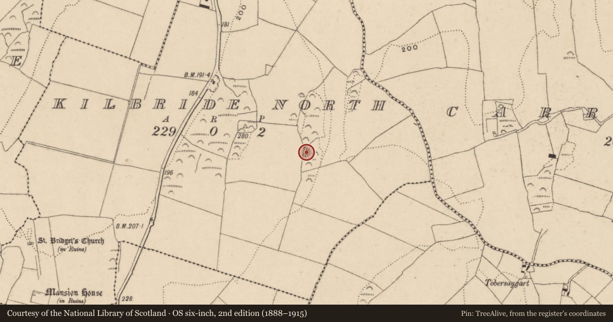 Ordnance Survey six-inch map, 2nd edition (1888–1915) covering the location of Ringfort - unclassified, Kilbride North, County Waterford, with a pin at the register's coordinates
