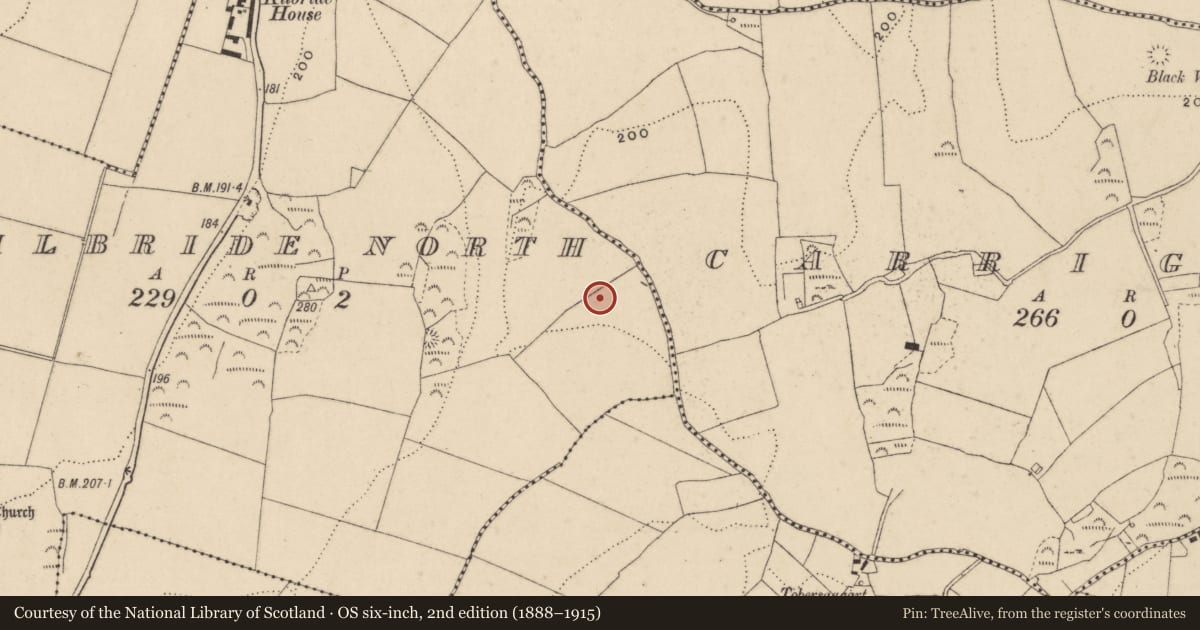 Ordnance Survey six-inch map, 2nd edition (1888–1915) covering the location of Ringfort - unclassified, Kilbride North, County Waterford, with a pin at the register's coordinates