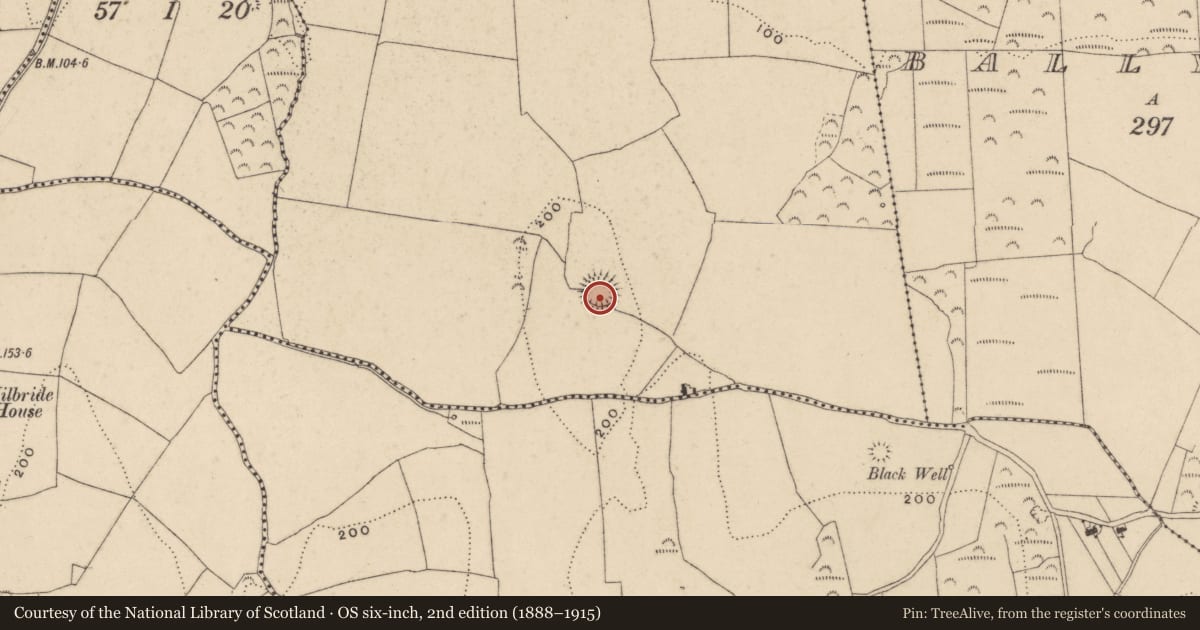 Ordnance Survey six-inch map, 2nd edition (1888–1915) covering the location of Ringfort - unclassified, Towergare, County Waterford, with a pin at the register's coordinates
