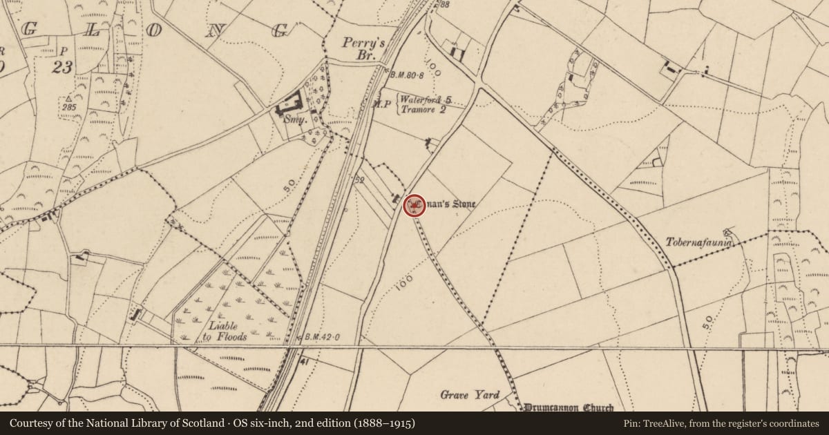 Ordnance Survey six-inch map, 2nd edition (1888–1915) covering the location of Coffin-resting stone, Ballykinsella, County Waterford, with a pin at the register's coordinates