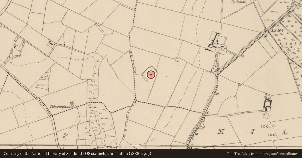 Ordnance Survey six-inch map, 2nd edition (1888–1915) covering the location of Embanked enclosure, Castletown, County Waterford, with a pin at the register's coordinates