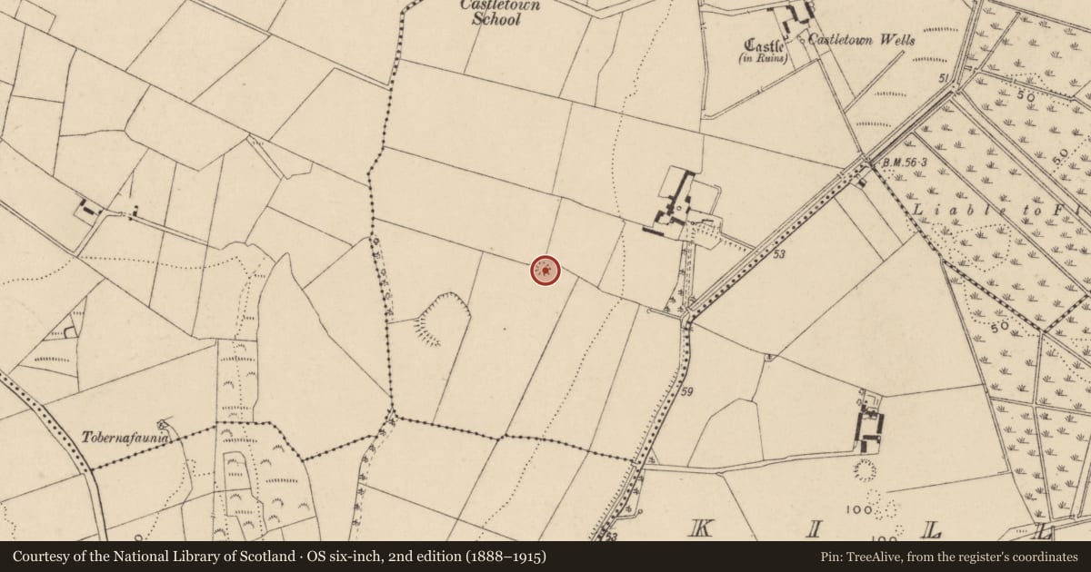 Ordnance Survey six-inch map, 2nd edition (1888–1915) covering the location of Enclosure, Castletown, County Waterford, with a pin at the register's coordinates
